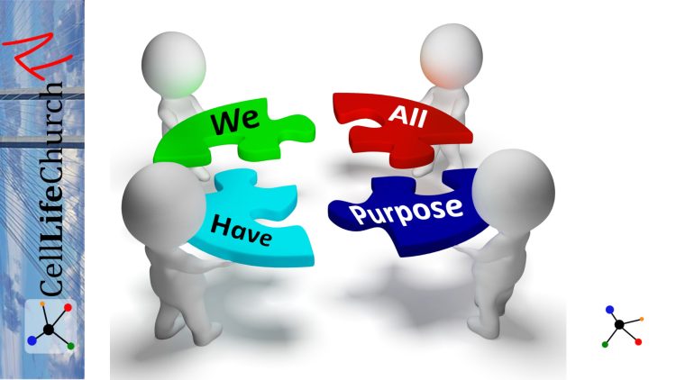 We_All_Have_Purpose_Video_Thumbnail