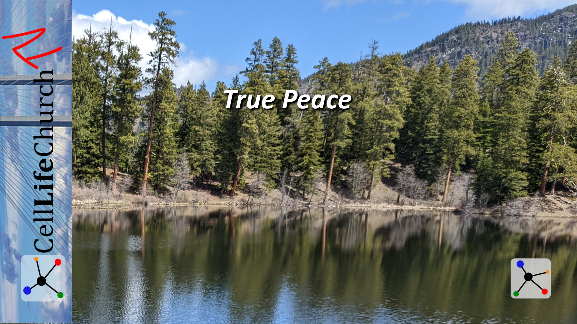 True Peace