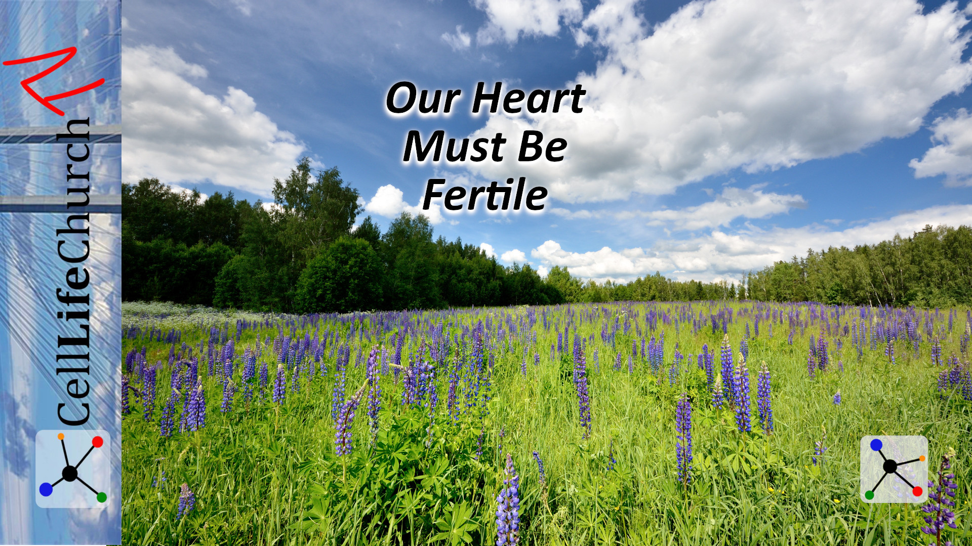 our heart must be fertile