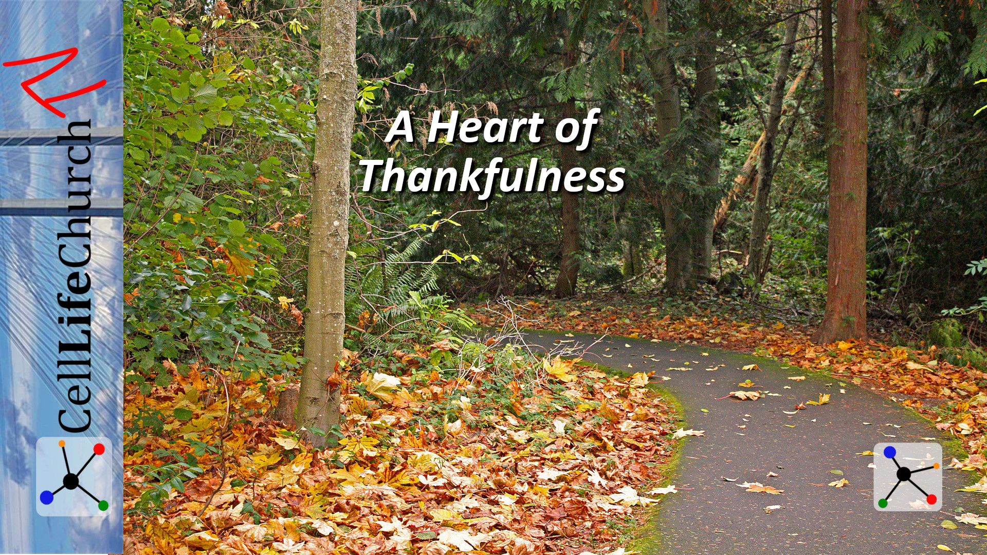 A Heart of Thankfulness