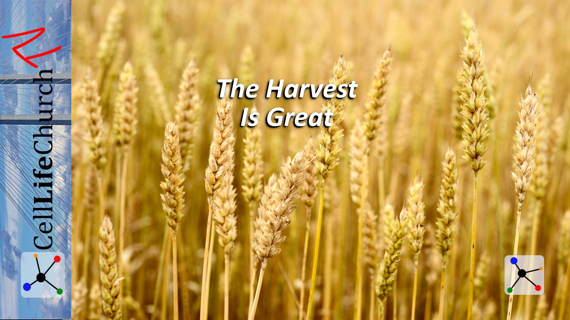 The Harvest Is Great