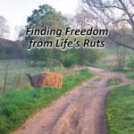 Finding Freedom from Life's Ruts