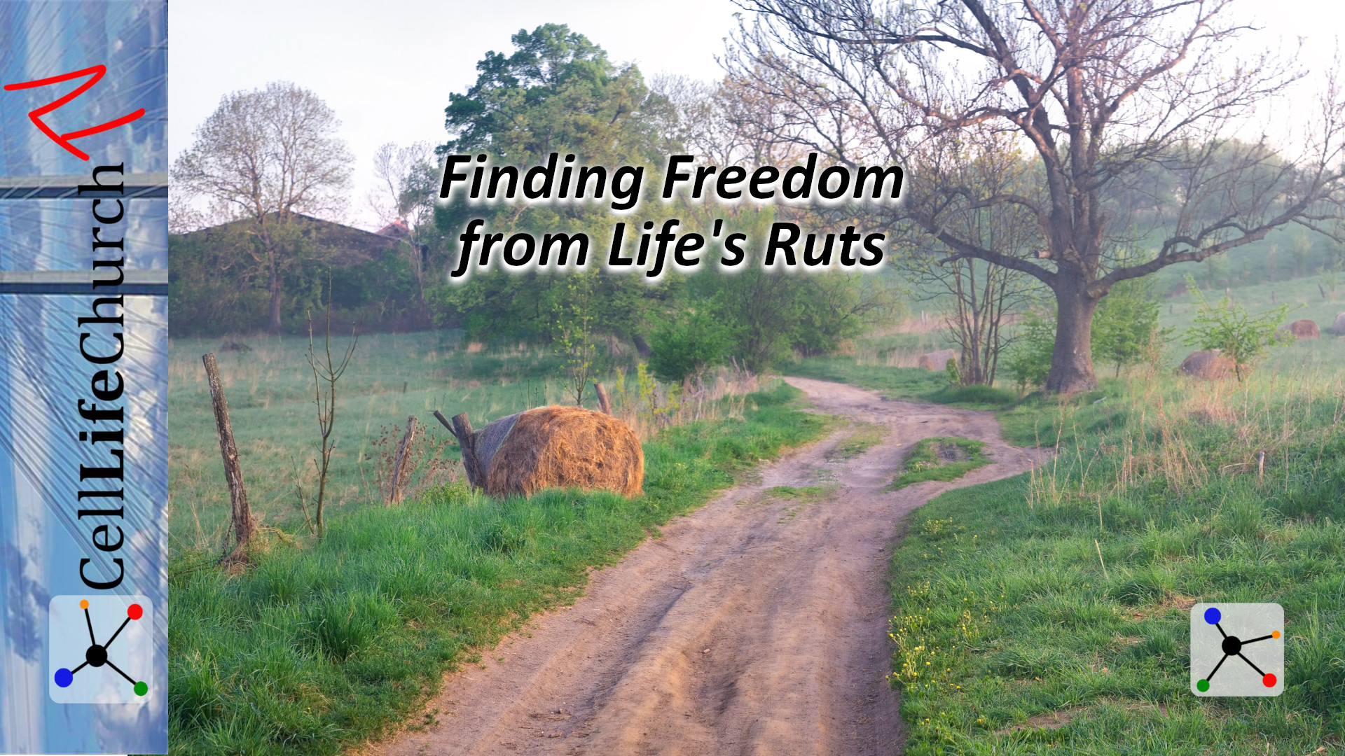 Finding Freedom from Life's Ruts