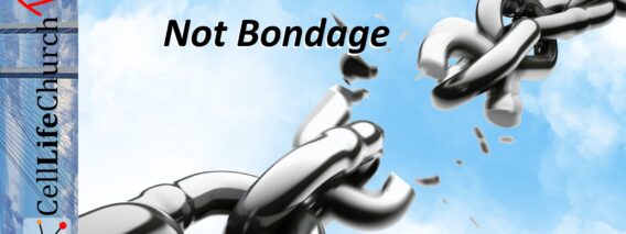 Walking_in_Freedom_Not_Bondage_Video_Thumbnail